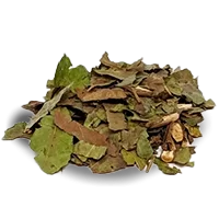 folia_negra.png