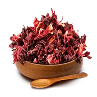 hibisco.png